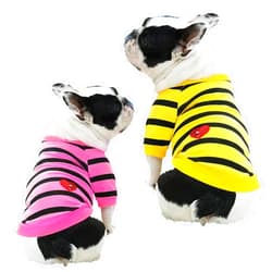 DroolingDog 2 Pack French Bulldog Striped T Clothes T-Shirt for Medium Dogs Tee Shirts for Boston Terrier Pitbull Bichon Spring Summer Puppy Apparel, Medium, Pack of 2