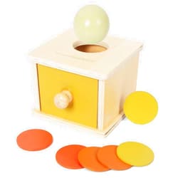 WOODENFUN Wooden Montessori Coin Box Color Shape Sorting Matching Baby Toys, 2-in-1 Drop Box Object Permanent Box, Toddler Educational Learning Toy Gift