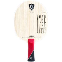 XIOM Table Tennis Stradivarius