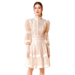 LAI MENG FIVE CATS Women's Puff Sleeves High Collar Hollow Mesh Pleat Layered Hem Solid Color Mini Dress