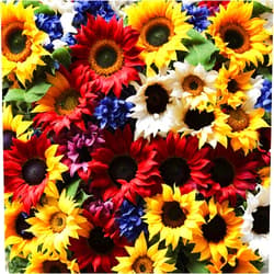 Seeds Of Strength Sunflower Seeds for Planting | Giant Mammoth Sunflower Seeds to Plant Home Outdoor Garden (1 Pack) - 50 Pcs Seeds
