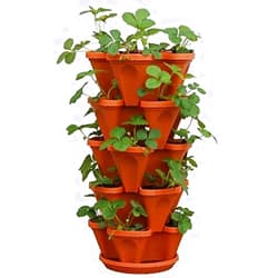Mr. Stacky 5-Tier Strawberry Planter Pot, 5 Pots