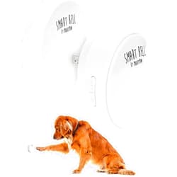 Mighty Paw Smart Bell 2.0 (1 Button Pack) - Wireless Electronic Dog Doorbell - Dog Potty Button Communication - Pet Communication Tool - Puppy Potty Training