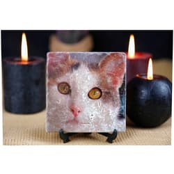 Sunrush Personalized Custom Coaster Set of 4, absorbent square coasters with holder.