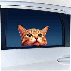 LEMONSODA Cat Car Window Decals Funny 3D Weatherproof Decals (Bengal Cat)