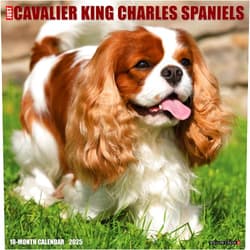 Willow Creek Press Cavalier King Charles Spaniels Monthly 2025 Wall Calendar (12