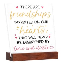 EVEREST GOOSE Friend Gifts for Women, Friendship Quotes Desk Decor Gifts for Women Men, Christmas Birthday Gifts for Best Friends, Bestie, Women, BFF, Long Distance Friendship Gifts, Friend Plaque with Wooden Stand