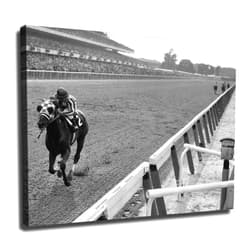 ObabO Secretariat Wins At Belmont Poster Picture HD Wall Art Canvas Print Aesthetic Artwork for Bedroom Living Room Decor (Unframed,8x10inch)