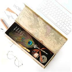 RFGGJNHKJUSWETGBVN 1 Set Of Calligraphy Multiple Feather Dip Pen Multiple Nib Retro Writing Stationery Set Student Full Set Of Stationery (Color : F) (A)