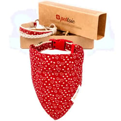 Pettsie Bandana Dog Collar, Matching Friendship Bracelet, Durable, Comfortable and Soft Hemp for Sensitive Skin, Gift Box, 3 Easy Adjustable Sizes, D-Ring for Easy Leash Attachment, Medium, Red
