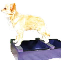 Group One Dog Gallery Boujee Stacking Box Show Training Equipment 20