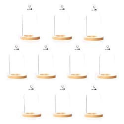 ZenRa 10-Piece Glass Dome Pendant Set with Wooden Base and Hollow Glass Cabochons (38x25mm, Wood Color)