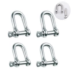 Reedny Stainless Steel 304 D Shape Shackle 5/32