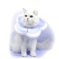 Aomomy Flower Waterproof Elizabeth Circle Adjustable Soft Pet E-Collar Neck Collar Circle for Cat Small Dog(Small)