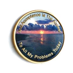 RecoveryChip Acceptance Is The Answer Beach Sunrise Color Bronze AA Medallion Chip Page 449 417