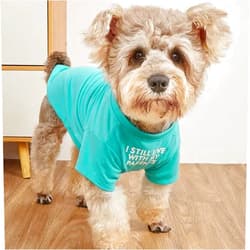 HipGirl Cute Dog Clothes,Dog T Shirt for Medium Dogs.Dog Clothes for Small Dogs Girl Boy,Puppy.Breathable Soft Dog Costume Pet Dogs Cats,Pet Pullover Jumper,Cat Clothes (XL-(16~20lb), Chest~20