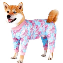 Xqpetlihai Dog Onesie Surgery Recovery Suit for Medium Large Dogs Recovery Shirt for Abdominal Wounds or Skin Diseases Bodysuit Dogs Pajamas(B,L)
