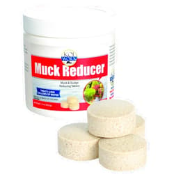 Koi Worx KoiWorx Muck Reducer, 145 Tablets Treats up to 6,000 Gallons of Water, Beneficial Bacteria Reduces Muck, Sludge and Organic Build up, Formulated for Ponds, Water Features and Safe for Koi