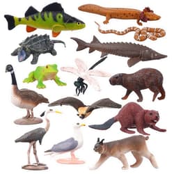 AENIMELY 14PCS Lake Animal Figurines – Realistic Canadian Wildlife Toys for Kids – North American Animal Models for STEM Learning, Cake Toppers, Science Projects, Educational Gifts