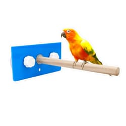 Hypeety Bird Parrot Stand Perch Shower Perch Standing Toy Portable Suction Cup Parrot Bath Stands Suppllies Holder Platform Parakeet Window Wall Hanging Play (2 Suction Cups Wood)