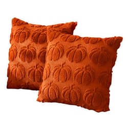 Generic Pumpkin Fall Decorative Throw Pillow Covers,Cozy Autumn Theme, Set of 2 Pumpkin Designs Soft Pillow Covers for Home Accent Autumn Cushions Covers for Farmhouse Couch Cushion Covers (BN)
