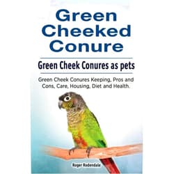 Roger Rodendale Green Cheeked Conure. Green Cheek Conures as pets. Green Cheek Conures Keeping, Pros and Cons, Care, Housing, Diet and Health.
