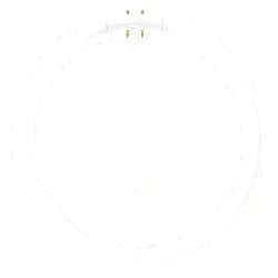 Sunlite FC22T5/SP830 Fluorescent 22W T5 Circline Ceiling Lights, 3000K Warm White Light, 2GX13 Base