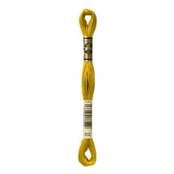 Dmc 6-Strand Embroidery Cotton 8.7yd-Golden Olive