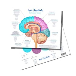 Got Oils? Brain Chart