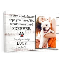 My Soul And Spirit Store, Personalized Photo Name Pet Memorial Canvas Home Wall Art Decor, Pet Loss Gifts, Cat Loss Gift, Dog Loss Gift, Pet Sympathy Gift, Dog Memorial, 12 in x 8 in