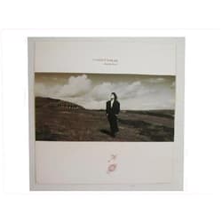 Rhythmhound Tanita Tikaram Poster Flat