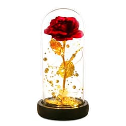 Dream of Flowers Mothers Day Rose Gifts for Mom,Beauty and The Beast Rose in Glass Dome,Colorful LED Lights,Galaxy Flower Rose Gifts for Mom Wife Grandma,Birthday Gifts for Women,Mother's Gift