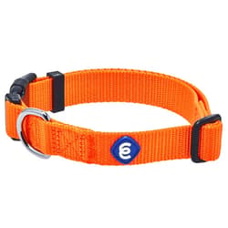 Blueberry Pet Essentials Matching Medium Dog Collar | Adjustable Classic Solid Color Nylon Dog Collars for Medium Dogs | Orange Vermilion Dog Collar for Medium Dogs