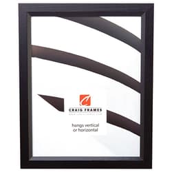 Craig Frames Economy, 19x25 Picture Frame, Ebony Black