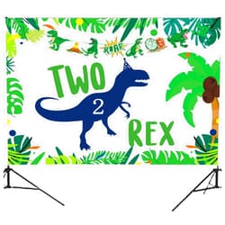 Miruwtog Dinosaur 2nd Birthday Party Backdrop,Two Rex Dinosaur Party Decorations,Dinosaur Birthday Party Supplies 2 Year Old Boy,2nd Birthday Decorations for Boys Dinosaur Birthday Party Supplies