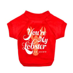 Friends the TV Show You're My Lobster Dog T Shirt in Red | Soft Dog Shirt, Machine Washable Pull-Over Dog Tshirt, Light Weight & Semi-Stretch | Size Large for All Large Dogs