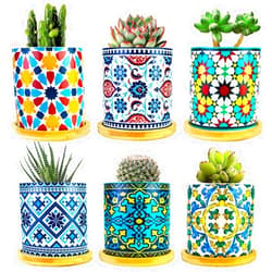 Ascrafter 6 Pack Mandala Succulent Plant Pot with Bamboo Trays, Ceramic Multicolored Succulent Container Planter Pot for Small Plant