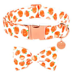 UP URARA PUP Halloween Dog Collar with Bow Tie, Pumpkin Cotton Bowtie Collar for Small Girl Boy Dog, Fall Dog Collar Bowtie with Durable Metal Buckle, Adorable Pumpkin Pet Collar, S, Neck 10-16in