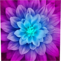 Homespun Hearth Dream Big - Digital Panel -Large Floral - Aurora - by Hoffman Fabrics