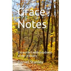 Daniel Stanley Grace Notes: Encounters with Goodness in the Ordinary