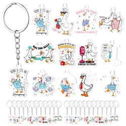 Kigeli 24 Pcs Goose Keychain Funny Medical Keychain Accessories for Nurse Worker Office School Teacher Goose Duck Lovers Christmas Stocking Stuffers