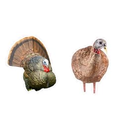 Avian-X LCD Strutter AVX8004 and Breeder Hen AVX8008 Folding Turkey Decoys with Carry Bags and Stakes Hunting Bundle