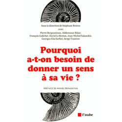 French Edition by Stéphane BRETON (Author), Miguel BENASAYAG (Preface) Pourquoi a-t-on besoin de donner un sens à sa vie ?
