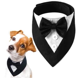 FUAMEY Dog Tuxedo,Formal Dog Wedding Bandana Dog Collar with Bow Tie Dog Birthday Costume Adjustable Pet Party Tux Dog Wedding Attire,Dog Valentines Outfit Cosplay for Small Medium Large Pets Black-L