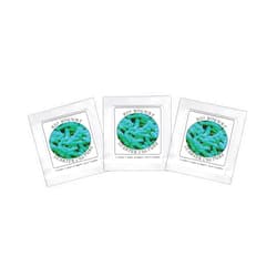 Natural Probiotic Selection Yogurt Starter Cultures - Pack of 3 Freeze-dried Culture Sachets for Bifido Yogurt