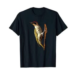 Birds Gifts Green Woodpecker Bird Watching Picidae Gift T-Shirt