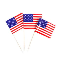 Newkita 100 Pack USA American Flag US Toothpick Flags, Cocktail Picks Mini Stick Cupcake Toppers Country Picks Party Decoration Celebration Cocktail Food Bar Cake Flags (American)