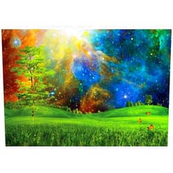 shensu Vinyl 7x5ft Enchanted Landscape Scenery Backdrop Meadow Grass Butterfly Starry Sky Dreamy Universe Scene Photography Background Party Decor Kids Girls Boys Adults Photoshoot Studio Props, Green