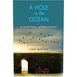 Sandy McIntosh A Hole in the Ocean: A Hampton's Apprenticeship