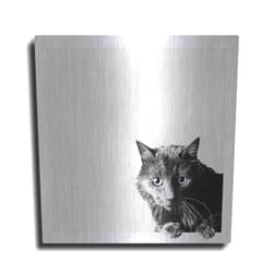 Luxe Metal Art 'Inquisitive' by Jon Bertelli Metal Wall Art, 12